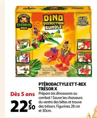 Ptérodactyle et t-rex trésor x