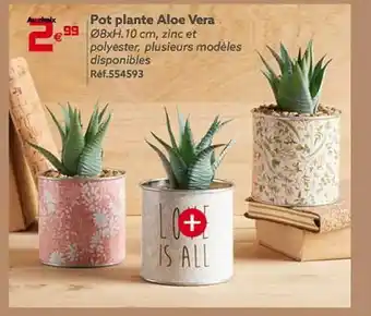 GiFi Pot plante aloe vera offre