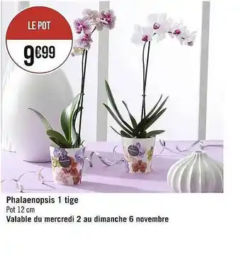 Casino Supermarchés Phalaenopsis 1 tige offre