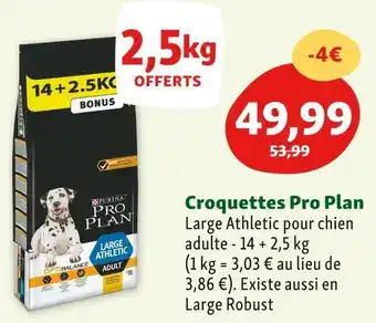 Maxi Zoo Pro plan croquette offre