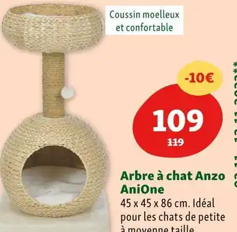 Maxi Zoo Anione arbre à chat anzo offre