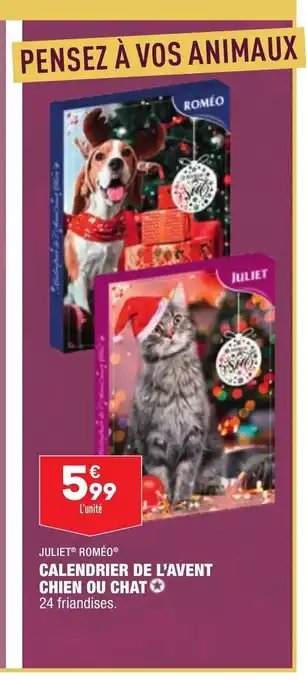 ALDI Calendrier De L'Avent Chien Ou Chat offre