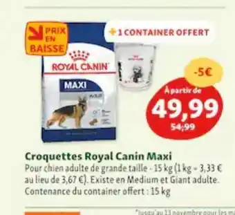 Maxi Zoo Croquettes royal canin maxi offre