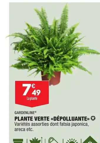 ALDI Plante Verte Depolluante offre