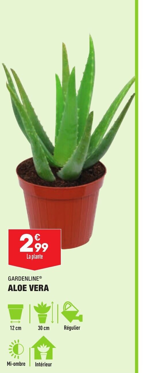 Promo Aloe Vera chez ALDI