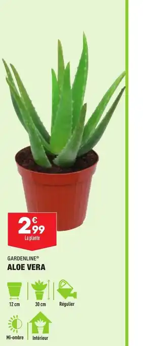 ALDI Aloe Vera offre