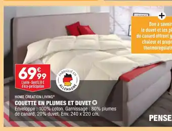 ALDI Couette En Plumes Et Duvet offre