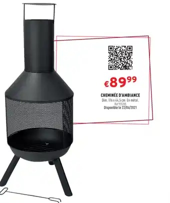 Cheminée D'Ambiance