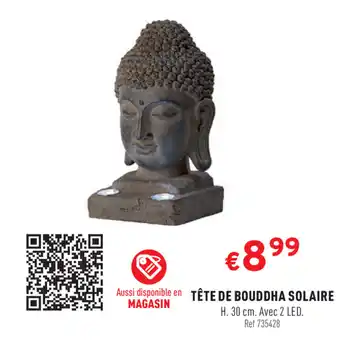 Tête De Bouddha Solaire
