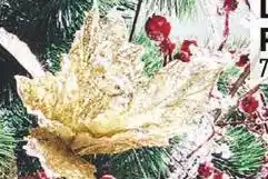 Centrakor La branche poinsettia offre