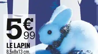 Centrakor Le lapin offre