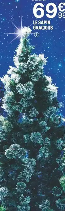 Centrakor Le sapin gracious offre