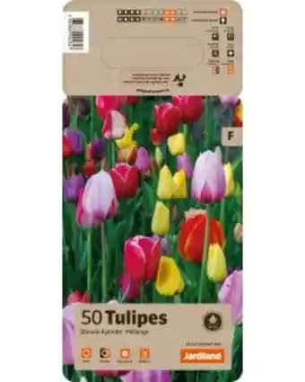 Jardiland Jardiland - bulbes de tulipe darwin en mélange x50 offre