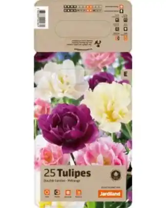Jardiland Jardiland - bulbes de tulipe double tardive en mélange x25 offre