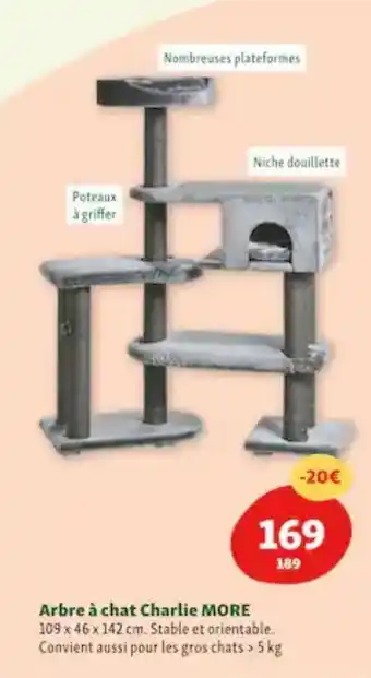 Maxi Zoo Arbre a chat charlie more offre