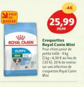 Maxi Zoo Croquettes royal canin mini offre
