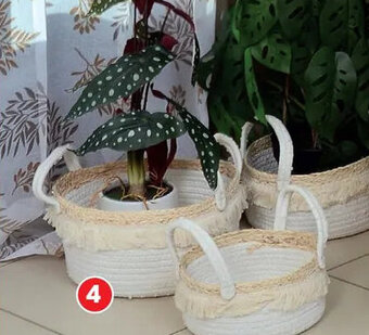 Le Panier