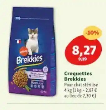 Croquettes brekkies