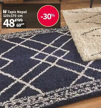 Conforama Tapis nepal offre