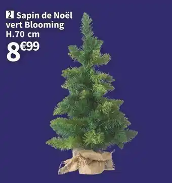 Sapin de noël vert blooming