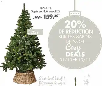 Sapin de noël avec led lumino