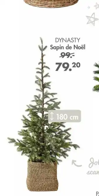 Casa Sapin de noël dynasty offre