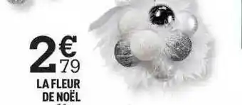 Centrakor La fleur de noël offre