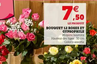 U Express BOUQUET 12 ROSES ET GYPSOPHILE offre