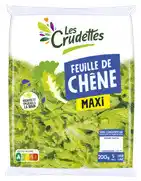 FEUILLE DE CHENE