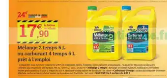 Mélange 2 Temps 5 L Ou Carburant 4 Temps 5 L Prêt à L'emploi