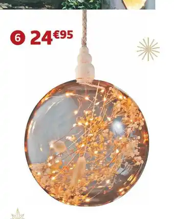 Jardiland Boule “fleurs séchées” lumineuse offre