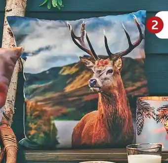 Jardiland Coussin “cerf” offre