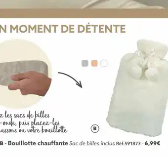 Gifi Bouillotte chauffante offre