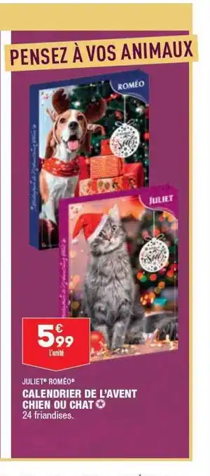 ALDI Calendrier de l'avent chien ou chat julie roméo offre