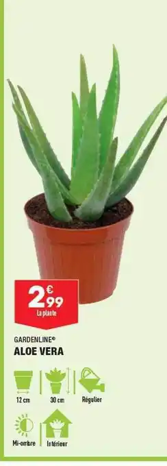 ALDI Aloe vera gardenline offre