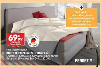 ALDI Couette en plumes et duvet home création living offre