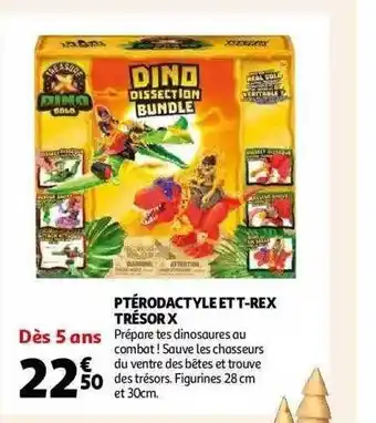 Auchan Ptérodactyle et t-rex trésor x offre