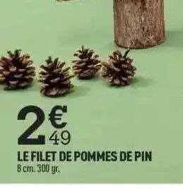 Centrakor Le filet de pommes de pin offre