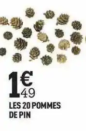 Centrakor Les 20 pommes de pin offre