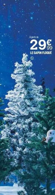 Centrakor Le sapin floqué offre