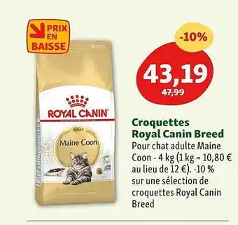 Maxi Zoo Croquettes royal canin breed offre