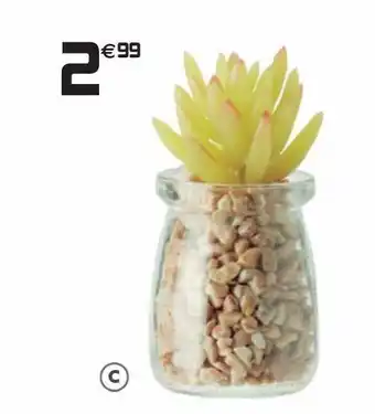 Gifi Pot plante cailloux offre