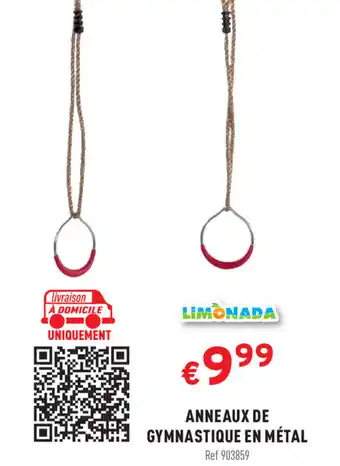 Anneaux de gymnastique en métal