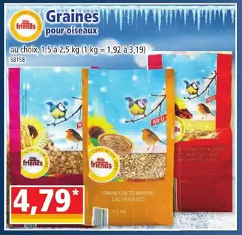 Norma Graines offre
