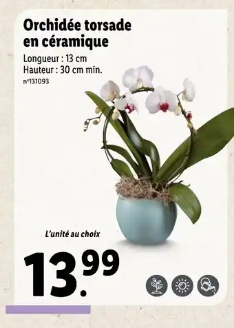 Lidl Orchidée torsade en céramique offre