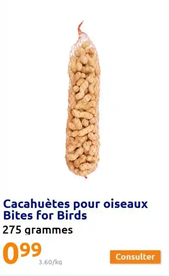 CacahuĂštes pour oiseaux bites for birds