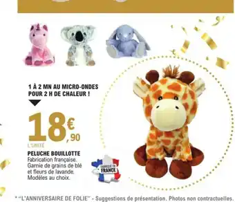 Peluche Bouillotte