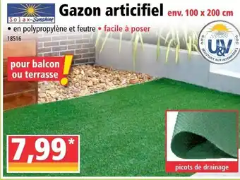 Norma Gazon Articifiel offre