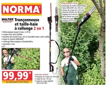 Tronçonneuse Et Taille-Haie à Rallonge