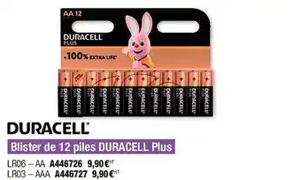 Plein ciel Blister de 12 piles duracell plus offre
